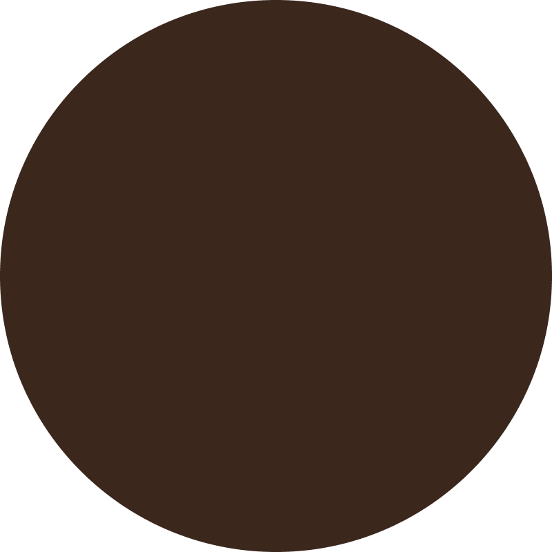 Solid dark brown circle on a transparent background.