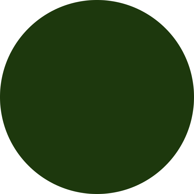 Solid dark green circle on a transparent background.