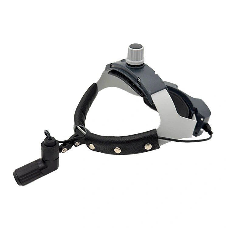 image of diverse group collaboration (for a hr tech)