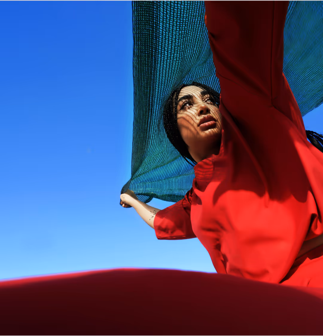 Project Details Image