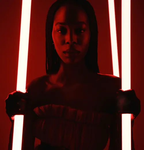 Project Details Image