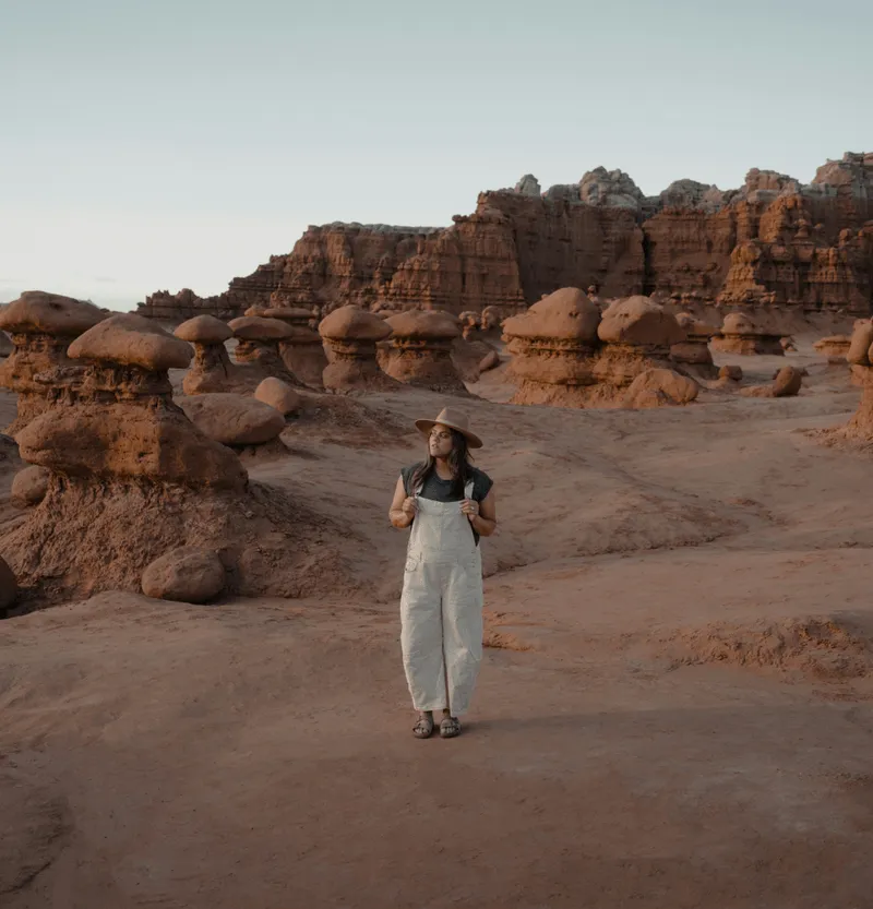 Project Details Image