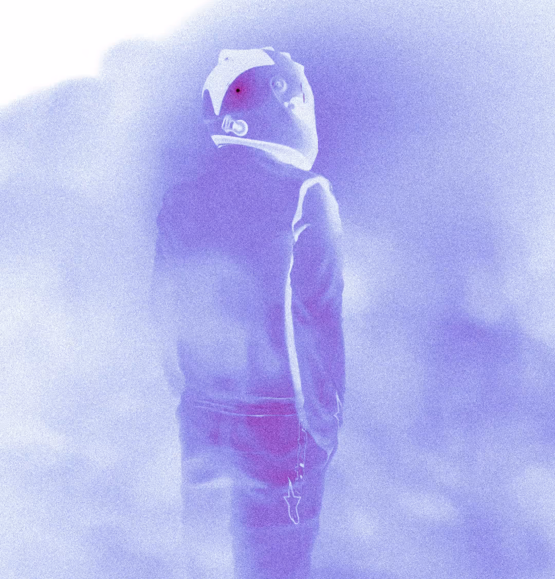 Project Details Image