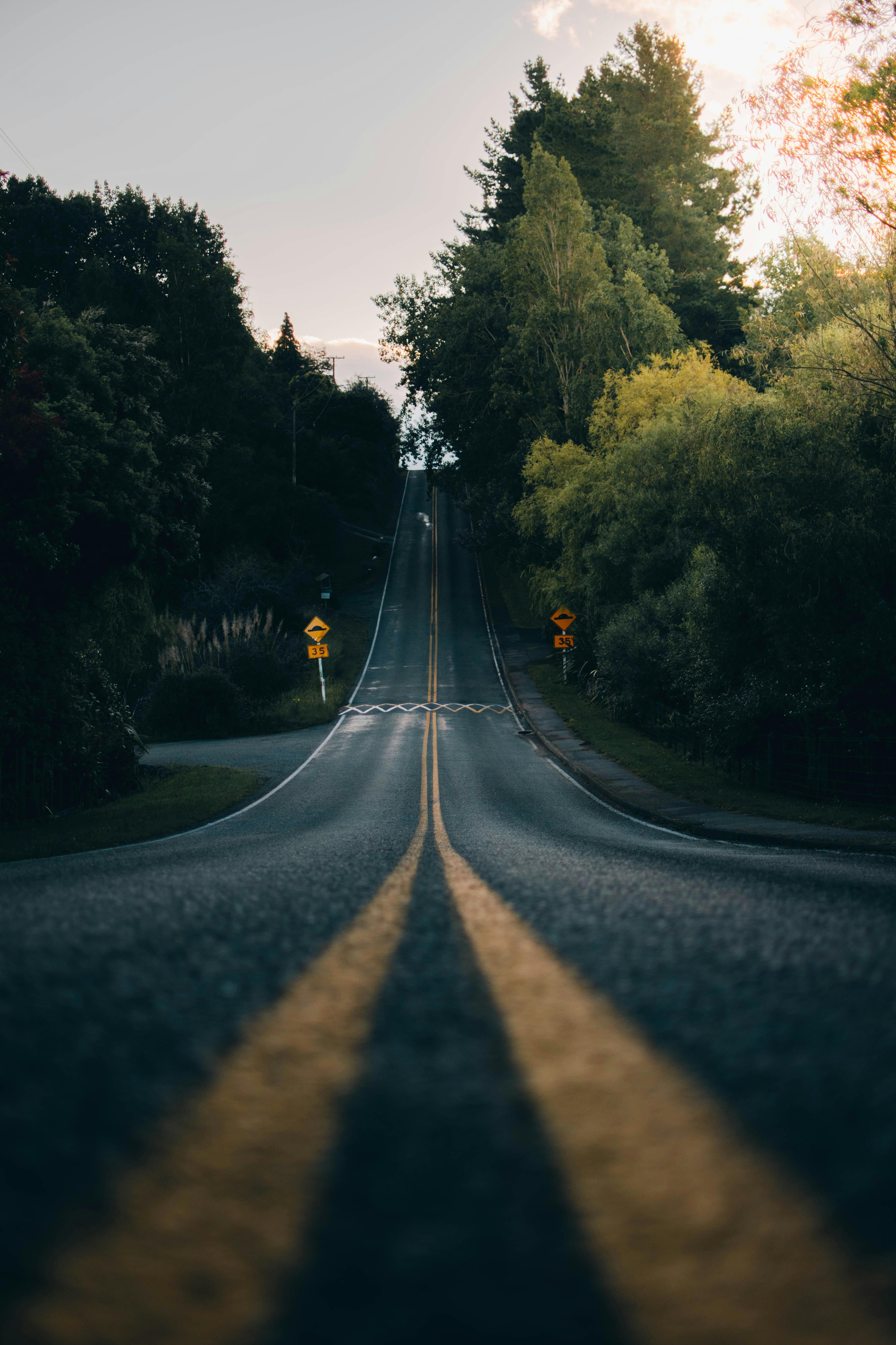 Empty asphalt road with double yellow lines, flanked by dense green trees under a pale sky.
