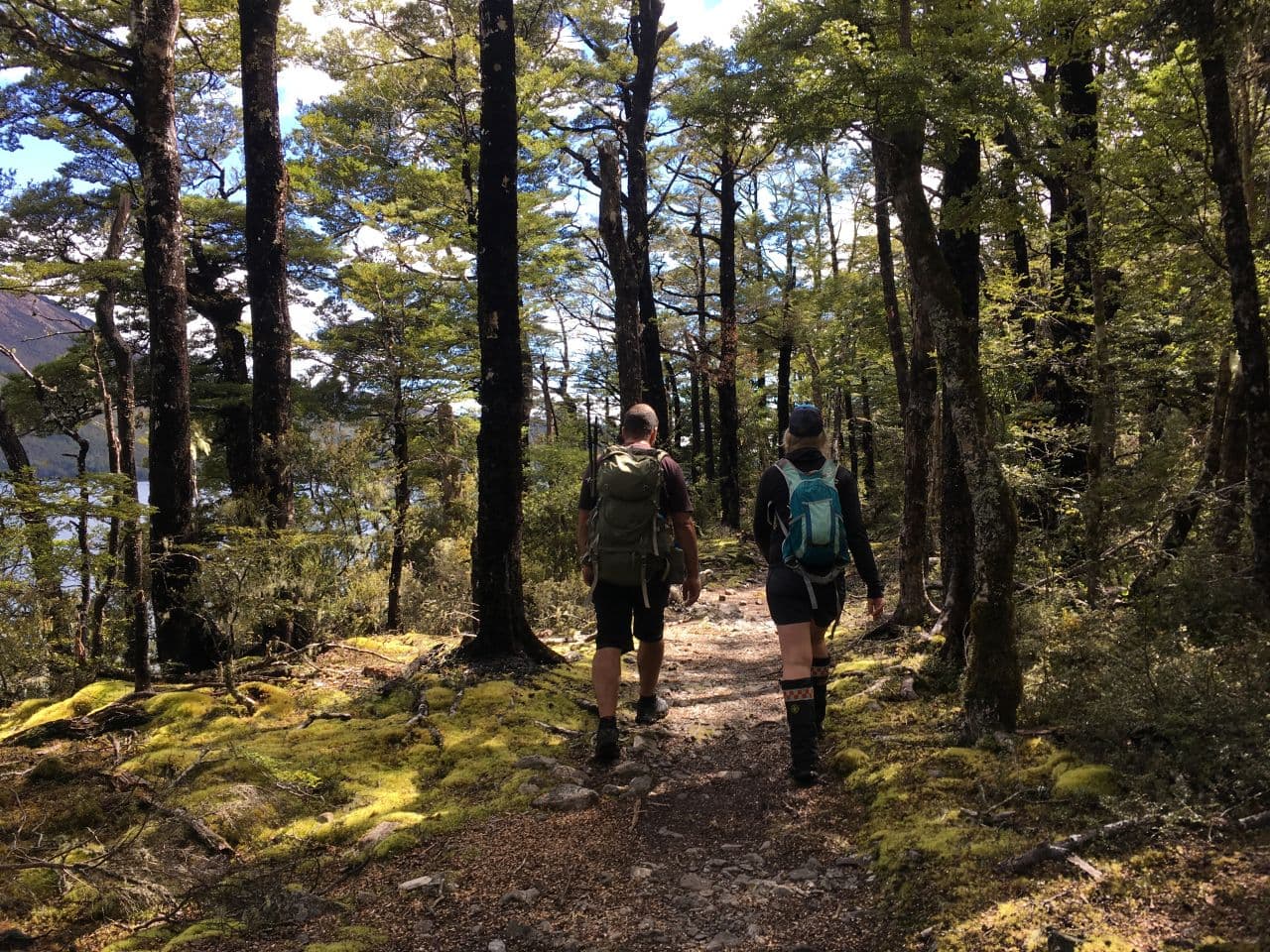 Two hikers wearing backpacks walk on a forest trail with trees and moss under dappled sunlight.