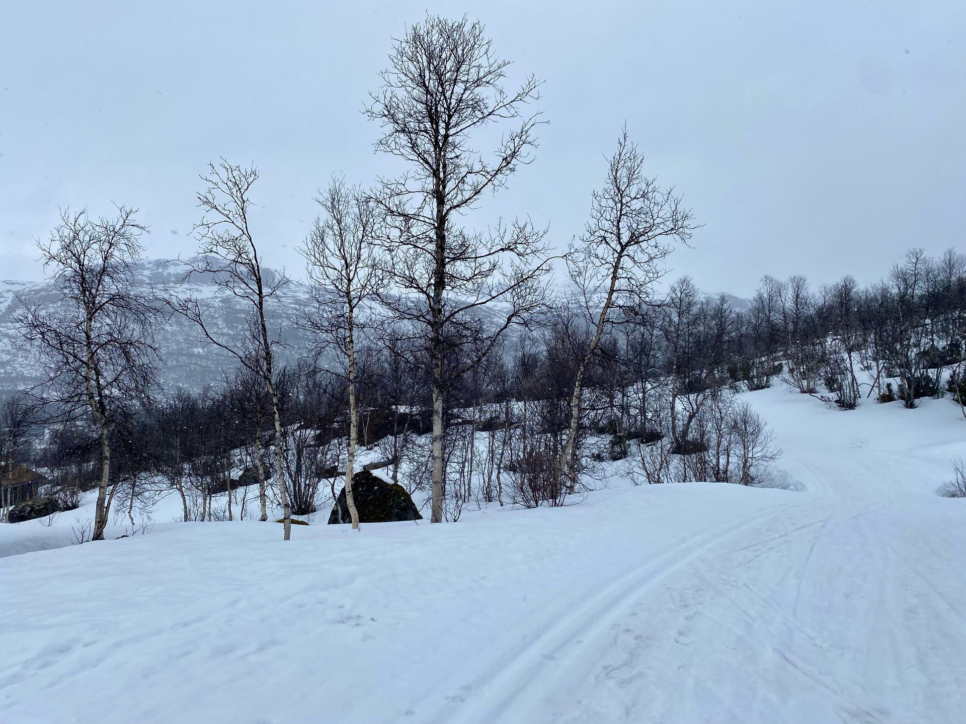 ... her kan ein sette opp 216 m2 BYA fordelt på maksimalt 3 bygg.
