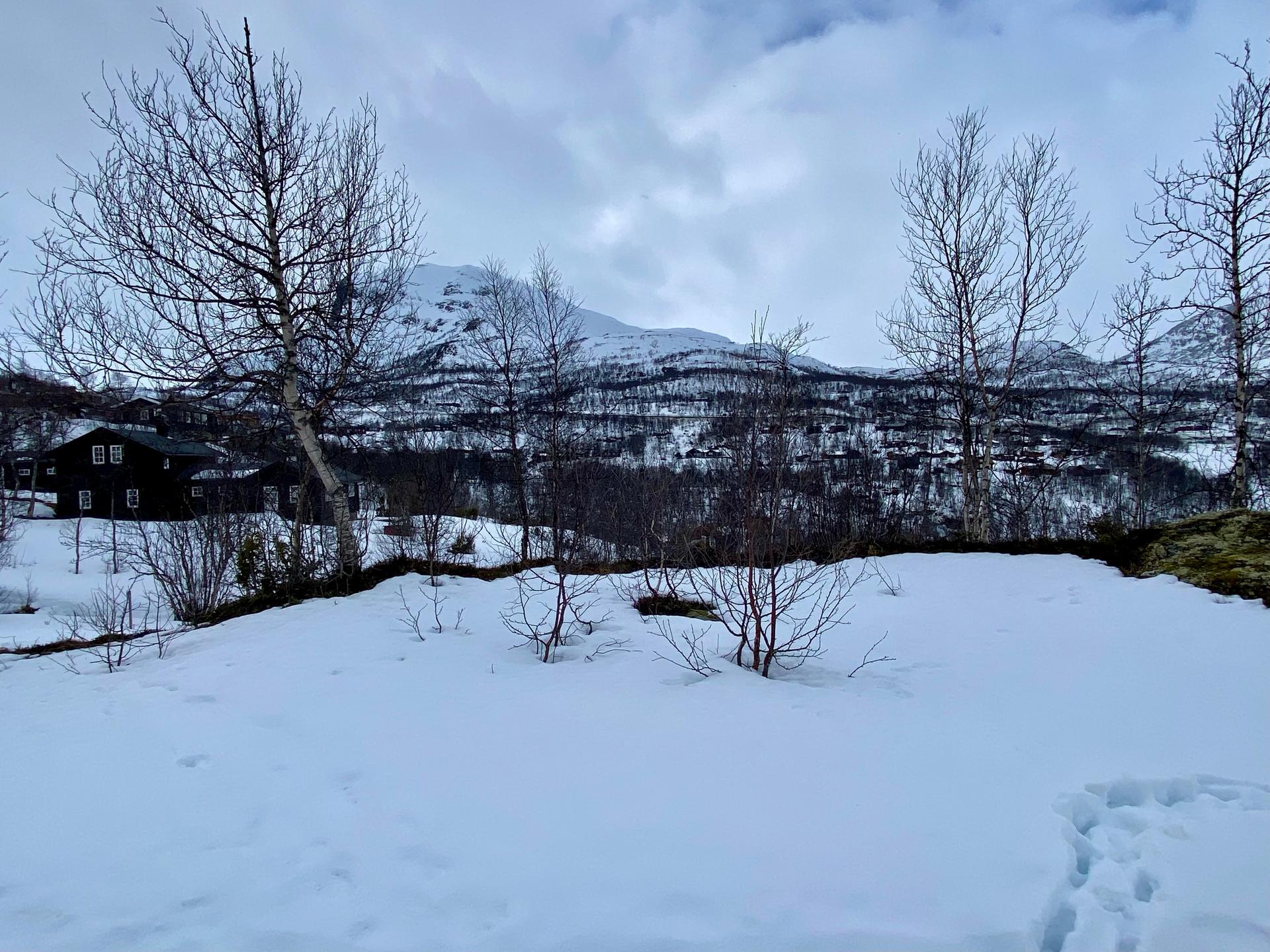 Eigedommen ligg rett ved skisenter og kilometervis med preparerte skiløyper.