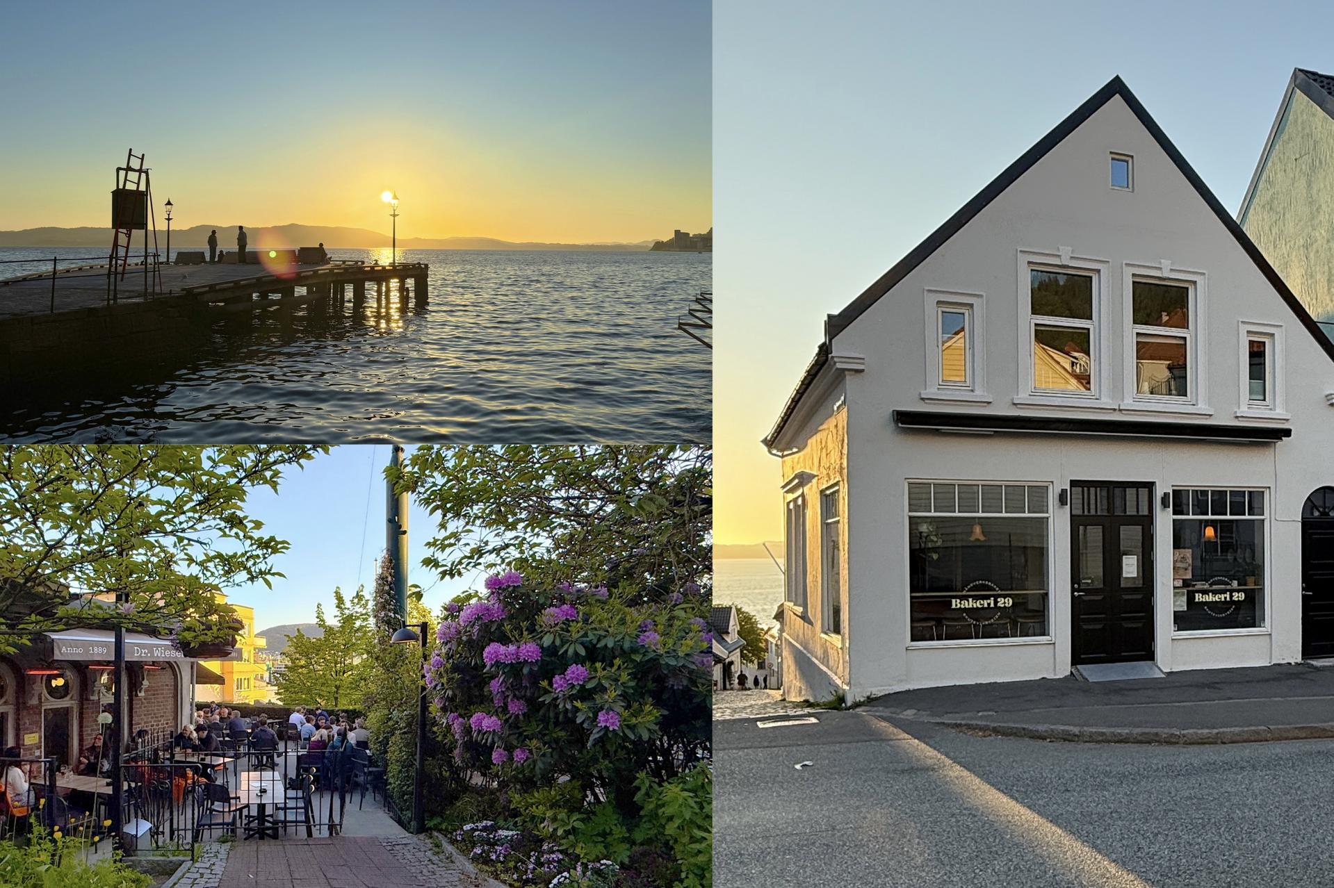 Nærområdet er svært innholdsrikt. Man spaserer enkelt og på kort tid til bademuligheter i Skuteviken, til Dr. Wiesner og Falske Reker som tilbyr bla. uteservering og quiz, samt at man har nyeste tilskudd i nabolaget, Bakeri29.