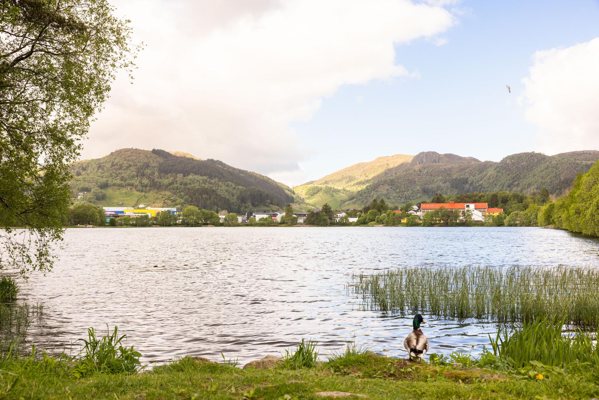 - W Eiendomsmegling Bergen - 