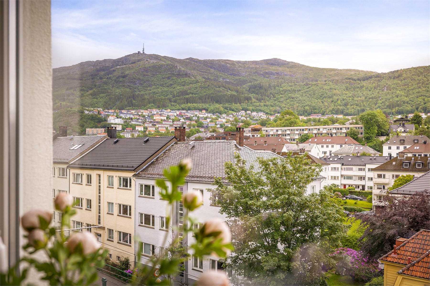 Bergensdalen og Ulriken er et praktfult skue fra stuevinduene. 