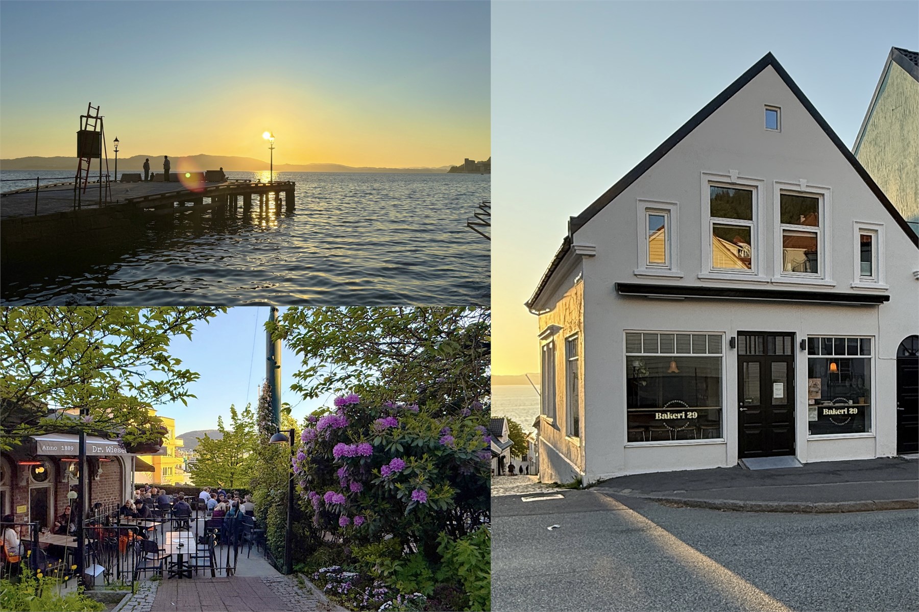 Nærområdet er svært innholdsrikt. Man spaserer enkelt og på kort tid til bademuligheter i Skuteviken, til Dr. Wiesner og Falske Reker som tilbyr bla. uteservering og quiz, samt at man har nyeste tilskudd i nabolaget, Bakeri 29, like nedi gaten.