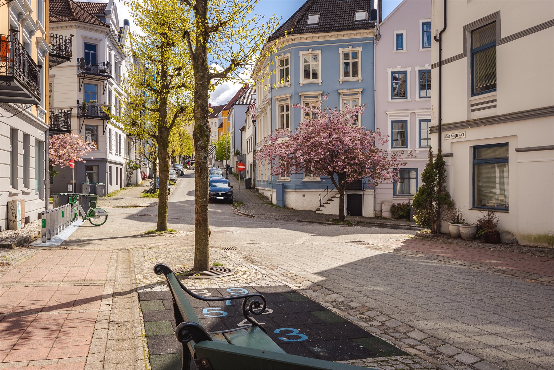 Noe tidligere på året vil man kunne nyte den vakre blomstringen av kirsebærtrærne i nabogaten.