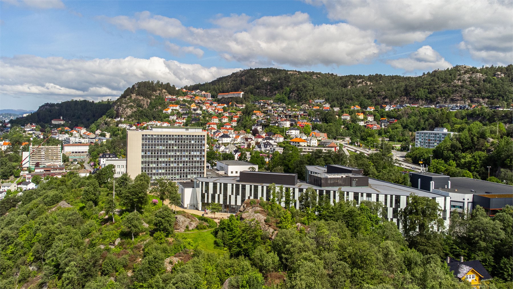 Norges Handelshøyskole ligger omtrent ti minutters gange fra boligen.