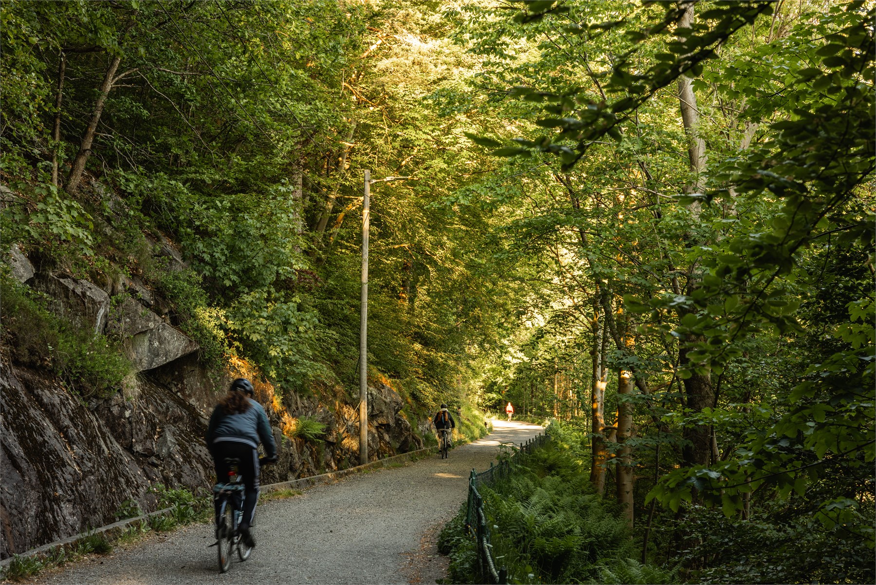 Langs den ikoniske fjellveien kan man nyte spektakulær utsikt over Bergen sentrum, Vågen og Byfjorden, omgitt av vakker natur og historiske omgivelser. Et perfekt sted for både rolige spaserturer og aktive dager utendørs.