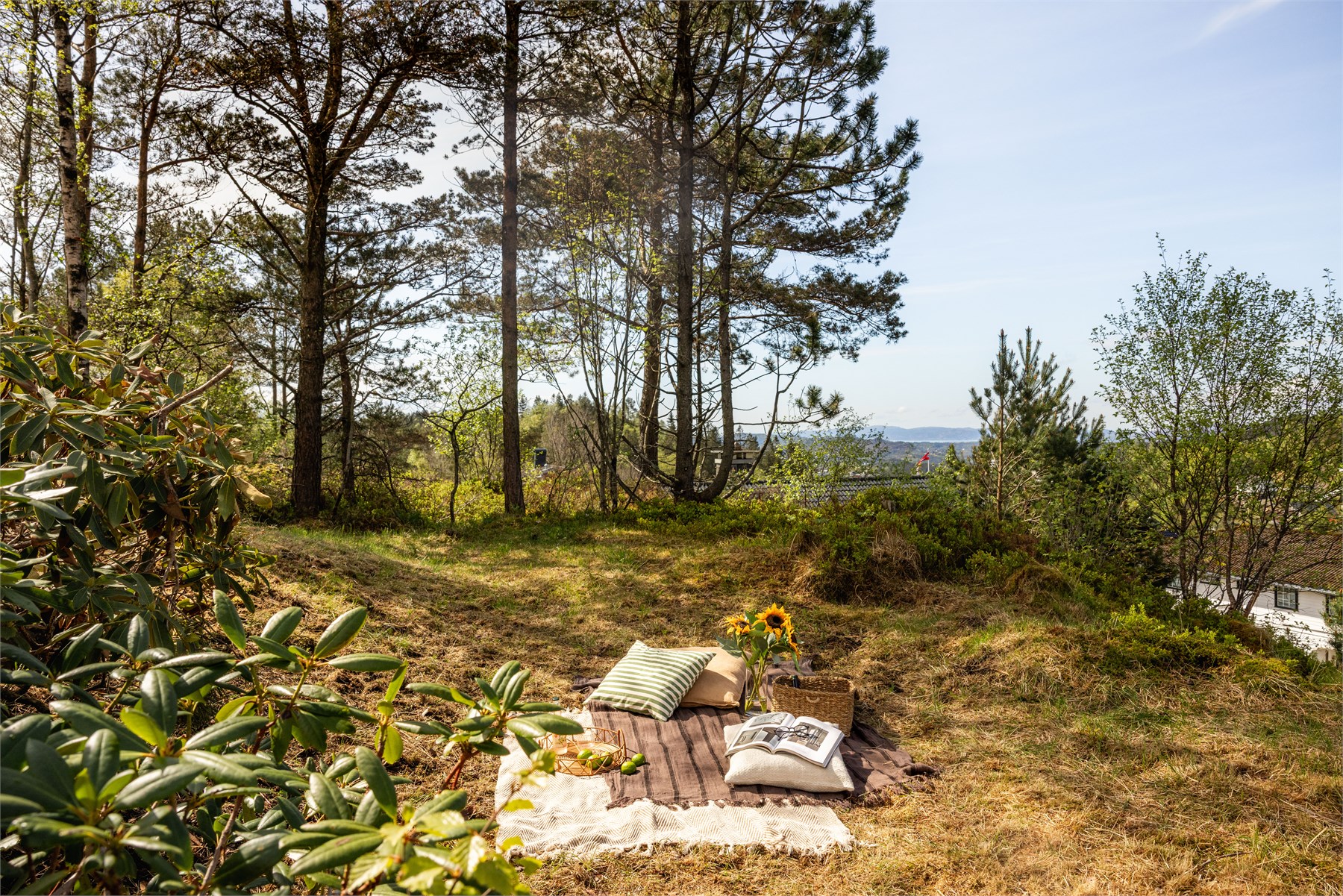 - W Eiendomsmegling Bergen -