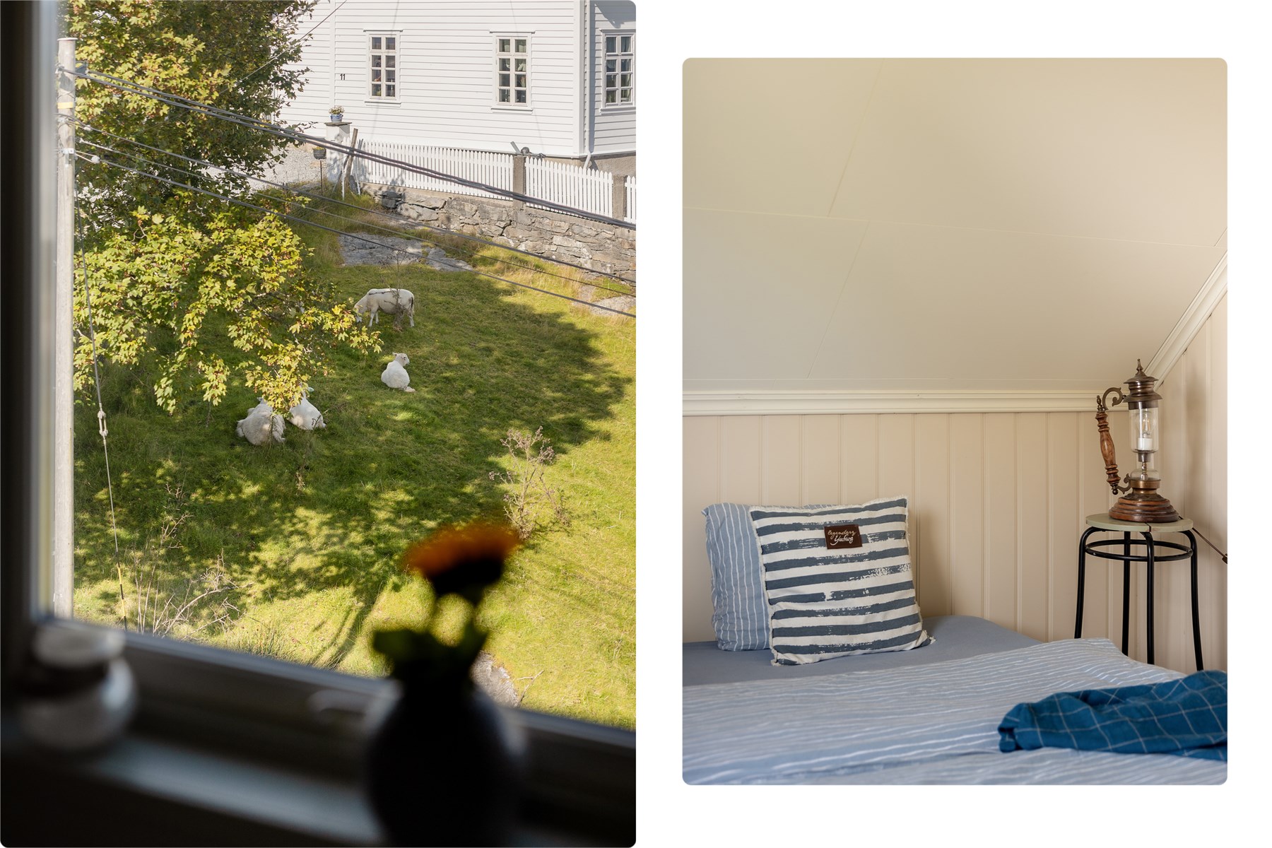 Lev landlig på Misje