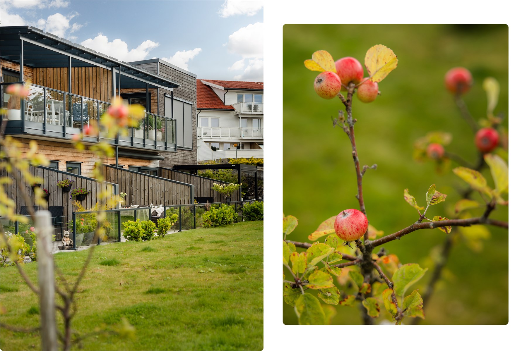 Epletrær, grønne plener og hyggelige fellesarealer skaper en idyllisk ramme rundt livet utendørs.