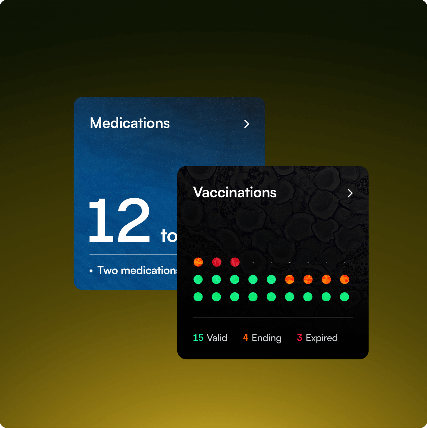 Two overlapping cards showing health data: one blue card states 12 total medications with a note about two medications, and one black card shows 15 valid, 4 ending, and 3 expired vaccinations represented by colored dots.
