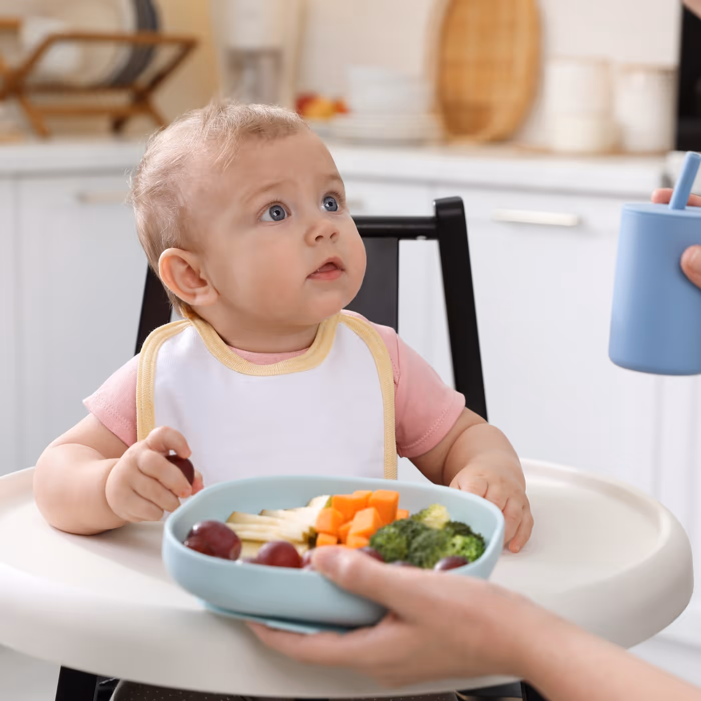 Ty nejčastější potraviny, na které se ptáte