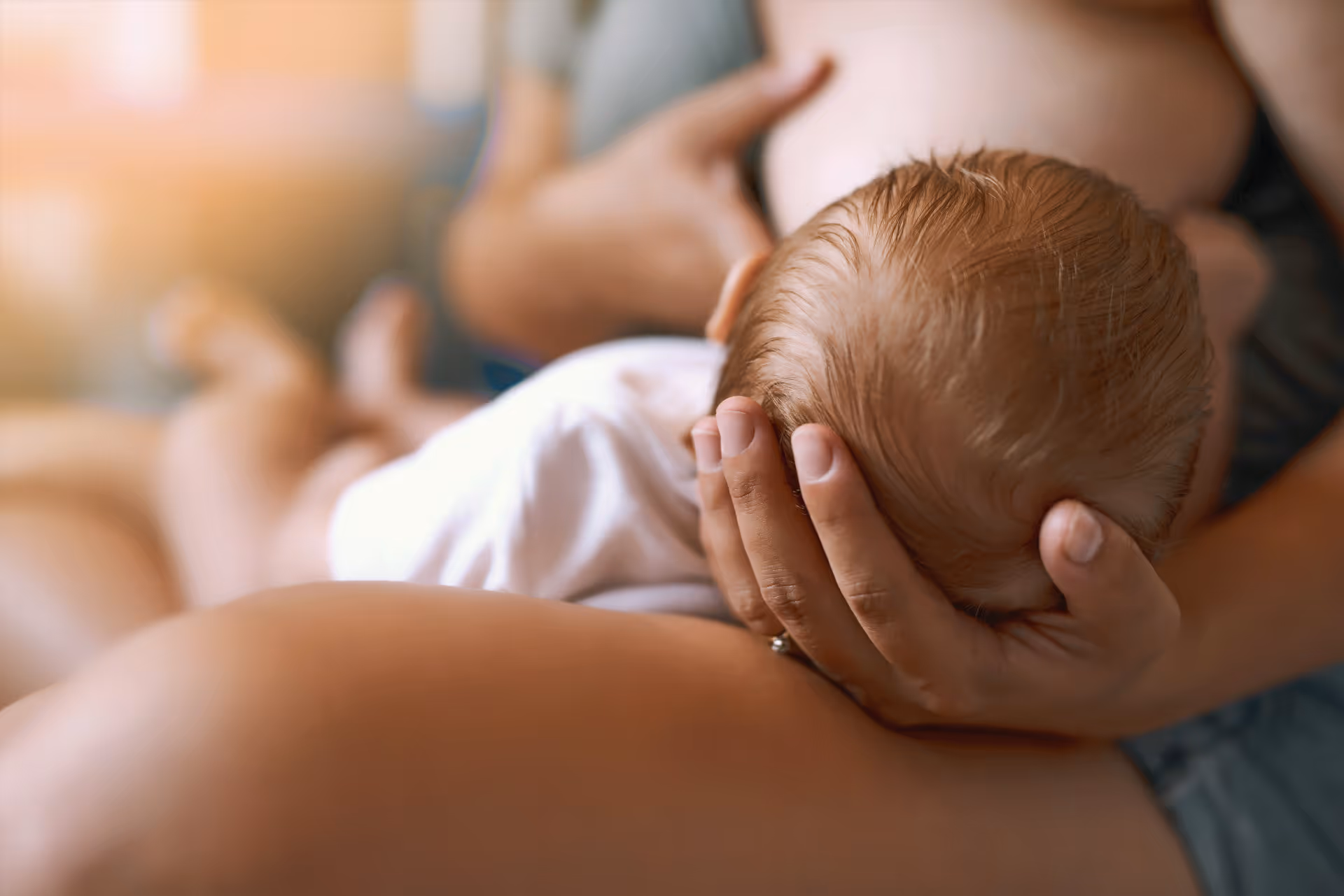 Úvodní fotografie článku