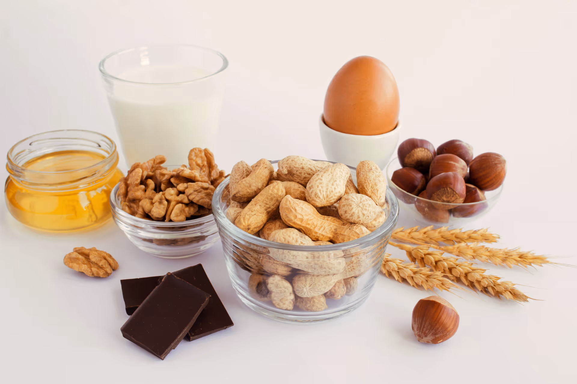 Úvodní fotografie článku