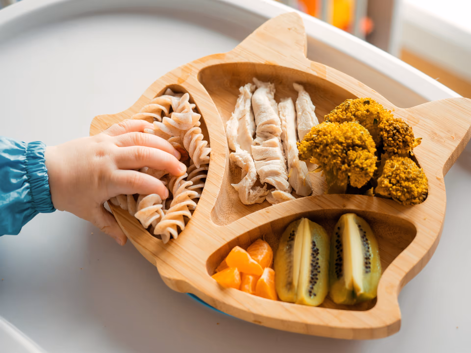 Úvodní fotografie článku