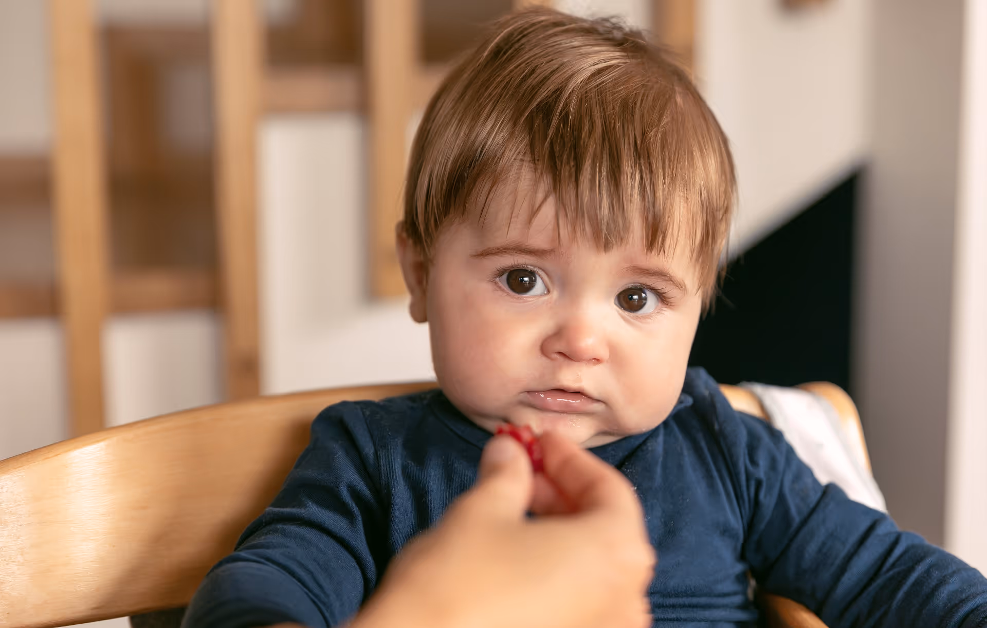 Úvodní fotografie článku