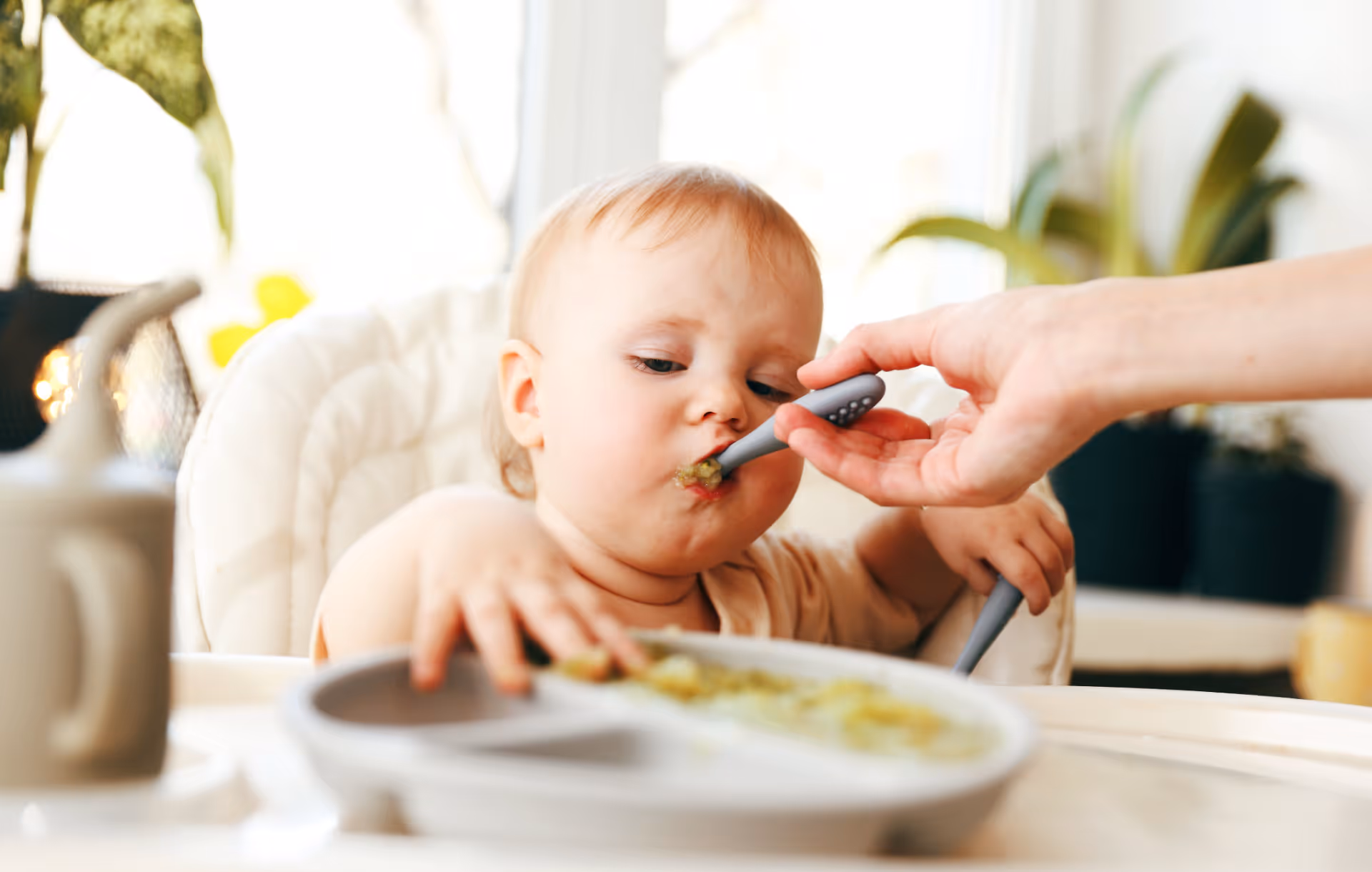 Úvodní fotografie článku