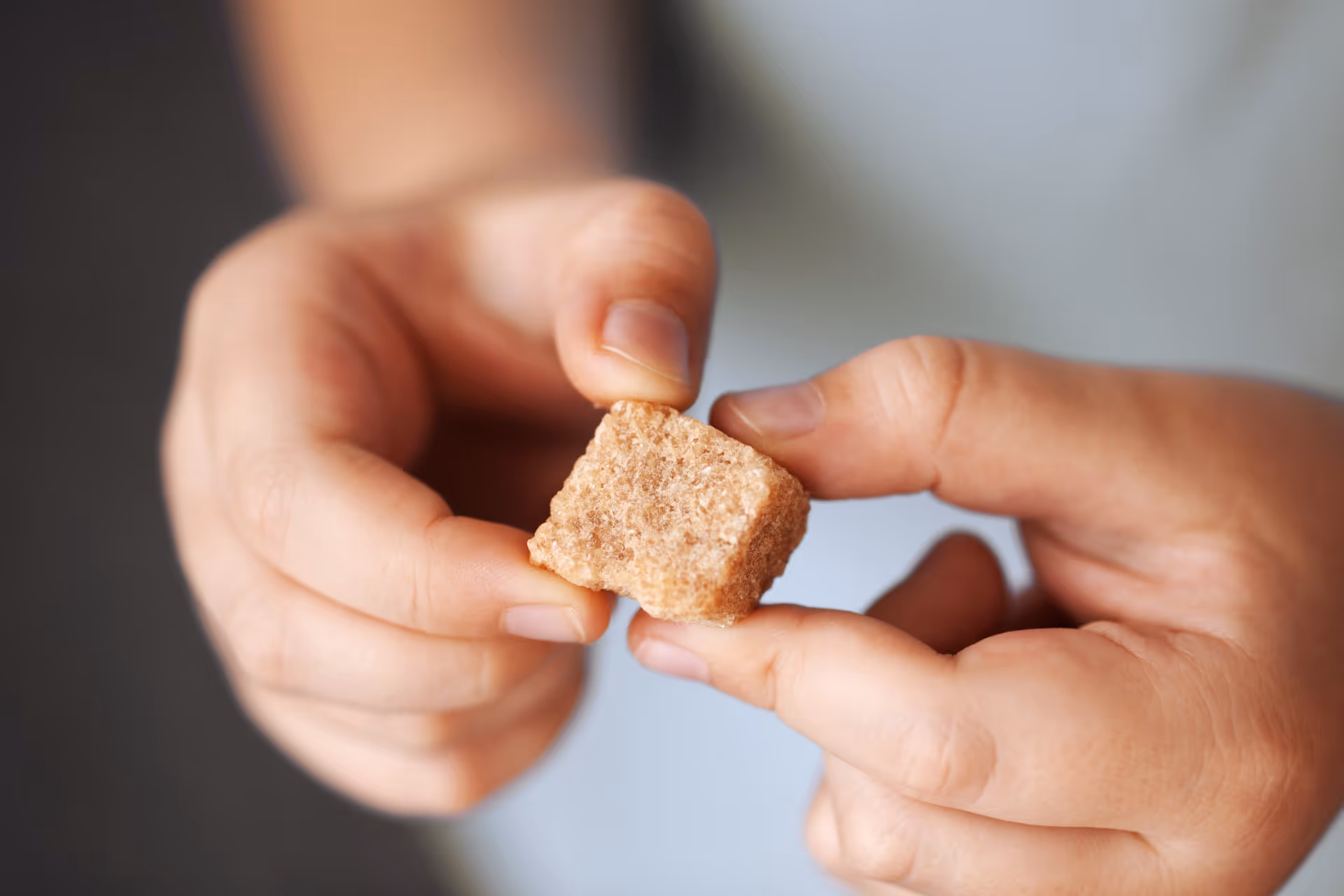 Úvodní fotografie článku