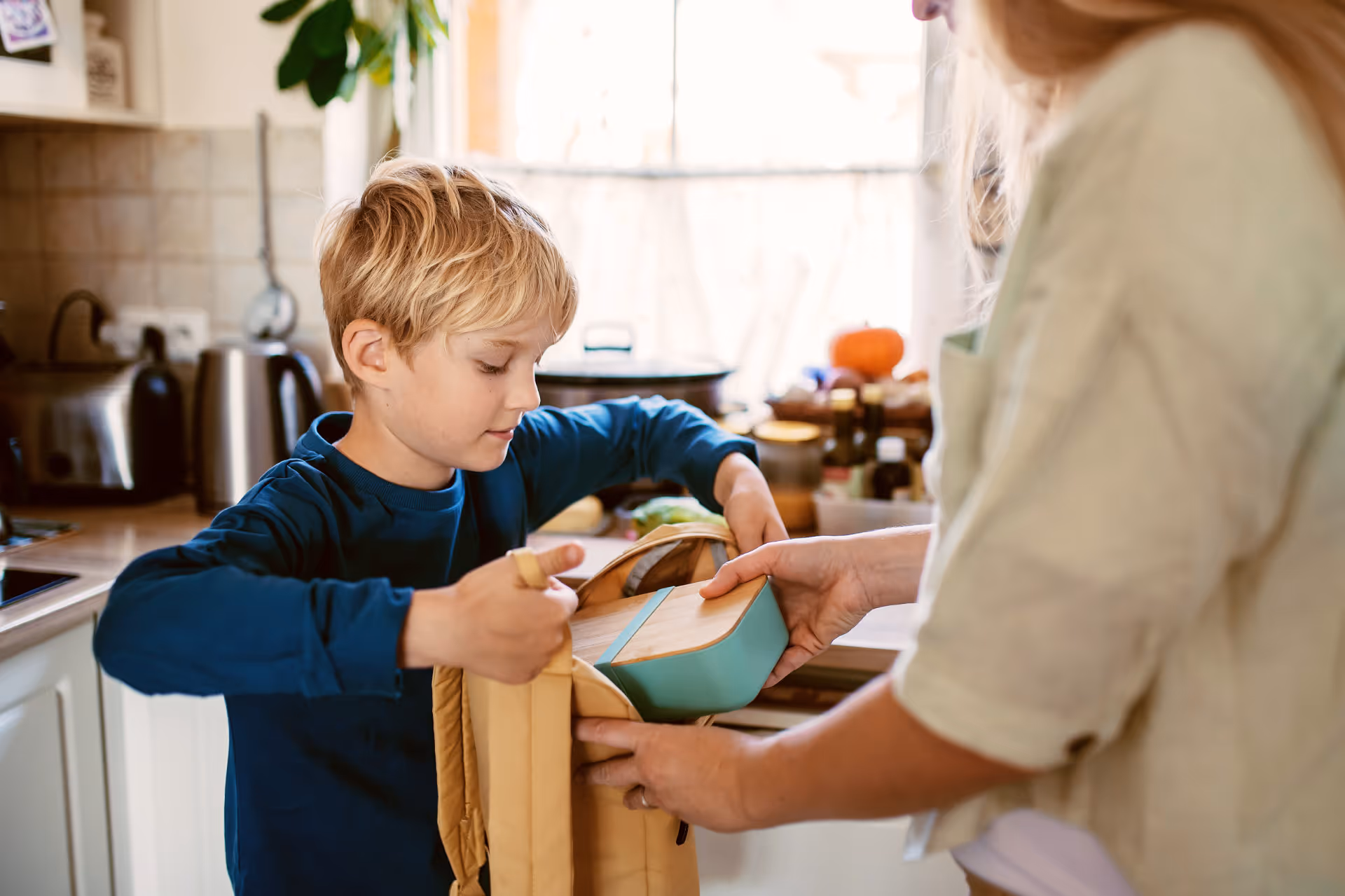 Úvodní fotografie článku