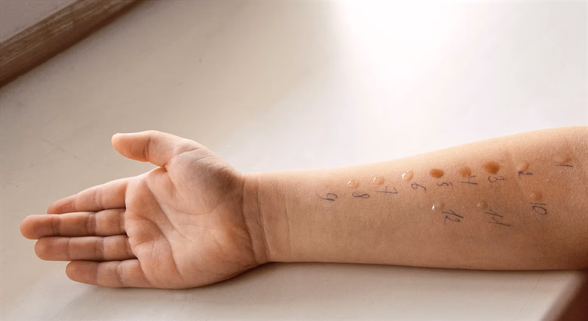 Úvodní fotografie článku