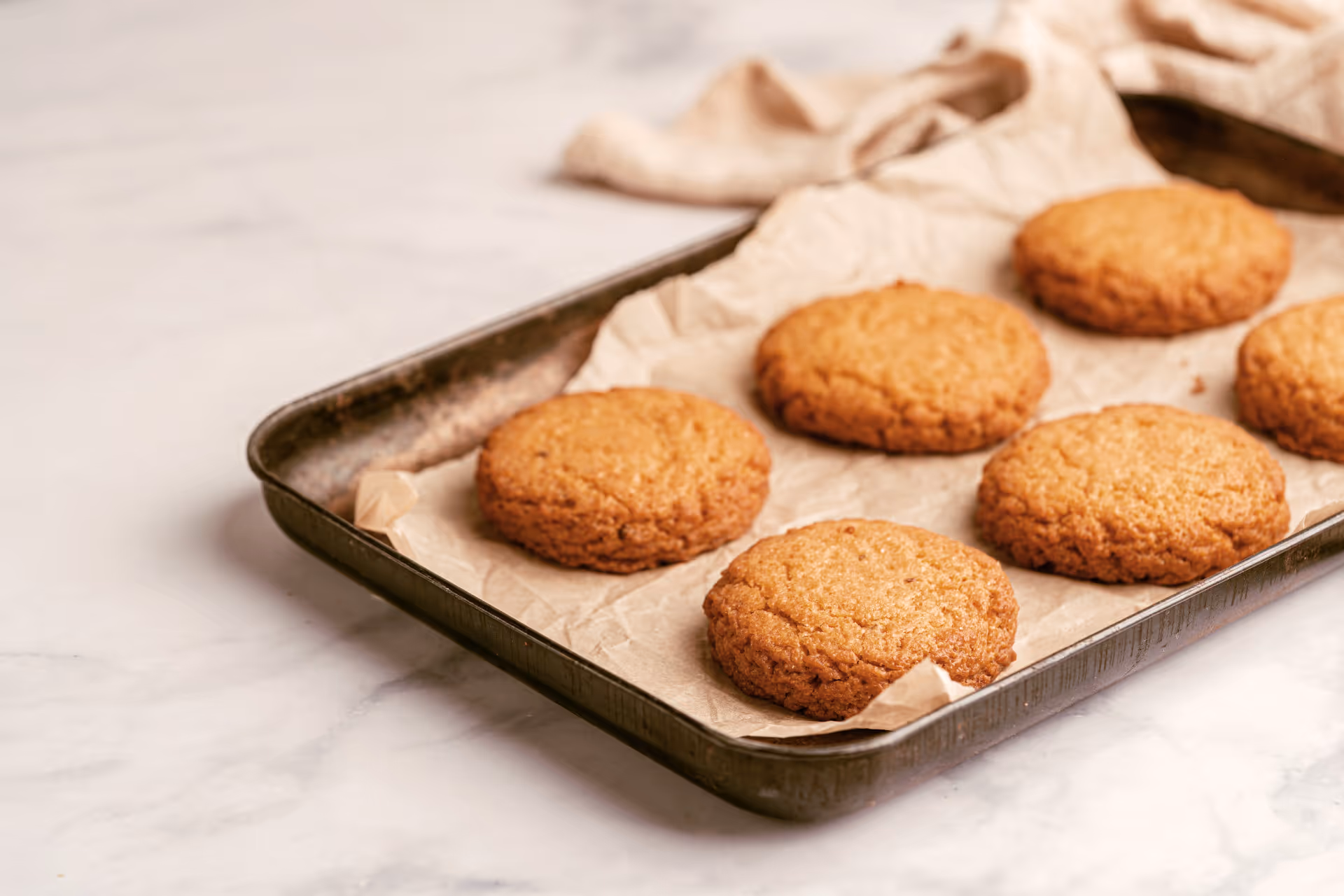 Úvodní fotografie článku