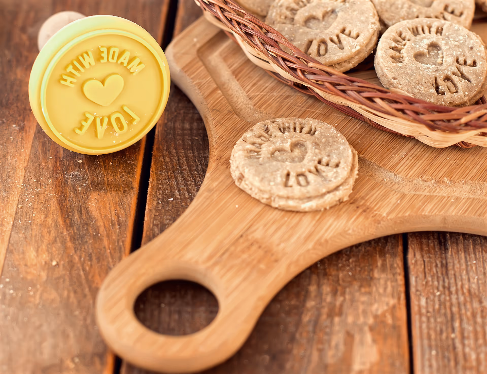 Úvodní fotografie článku