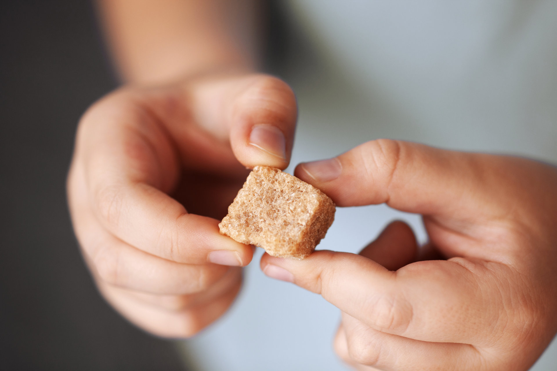 Úvodní fotografie článku