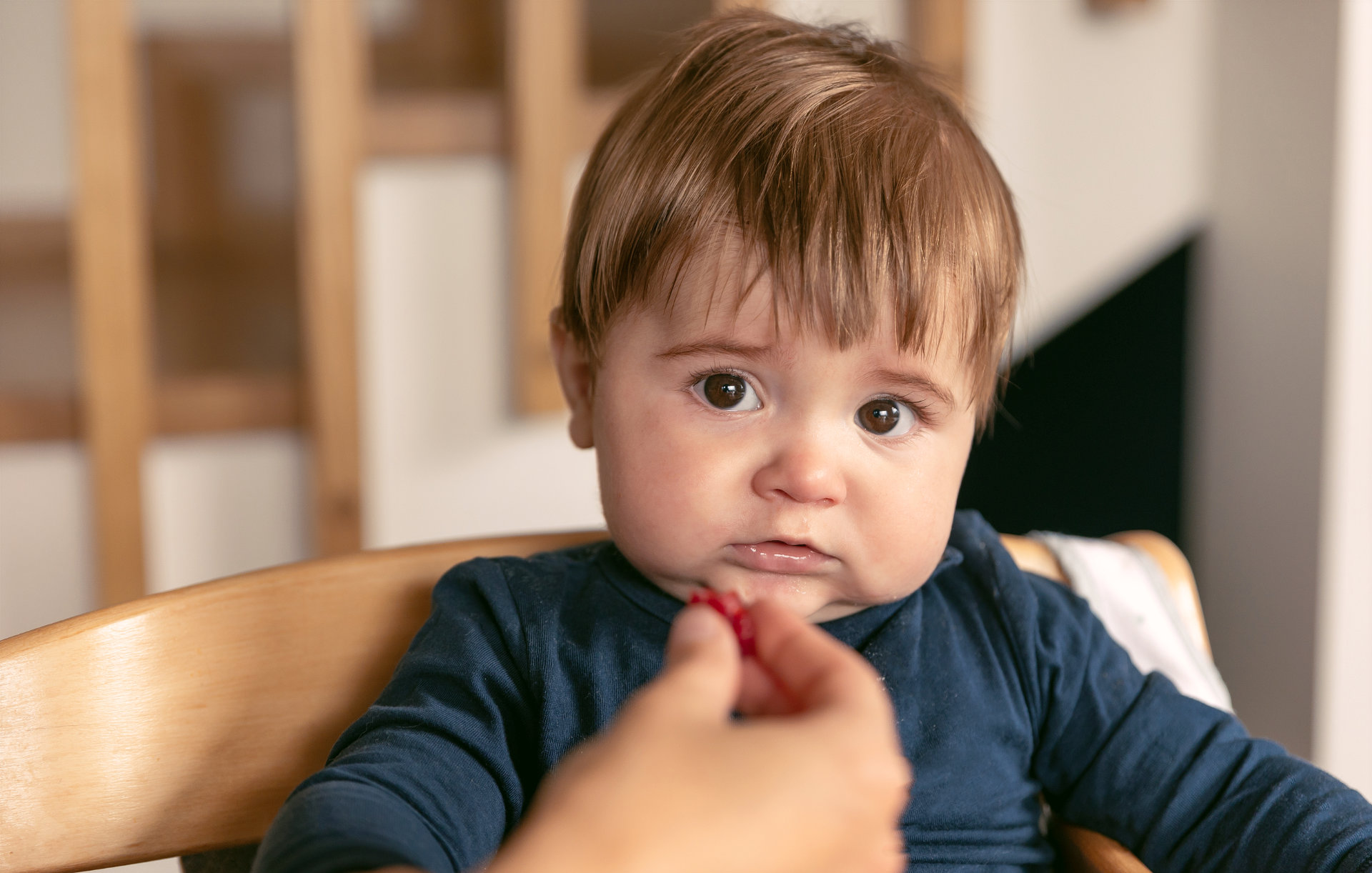 Úvodní fotografie článku