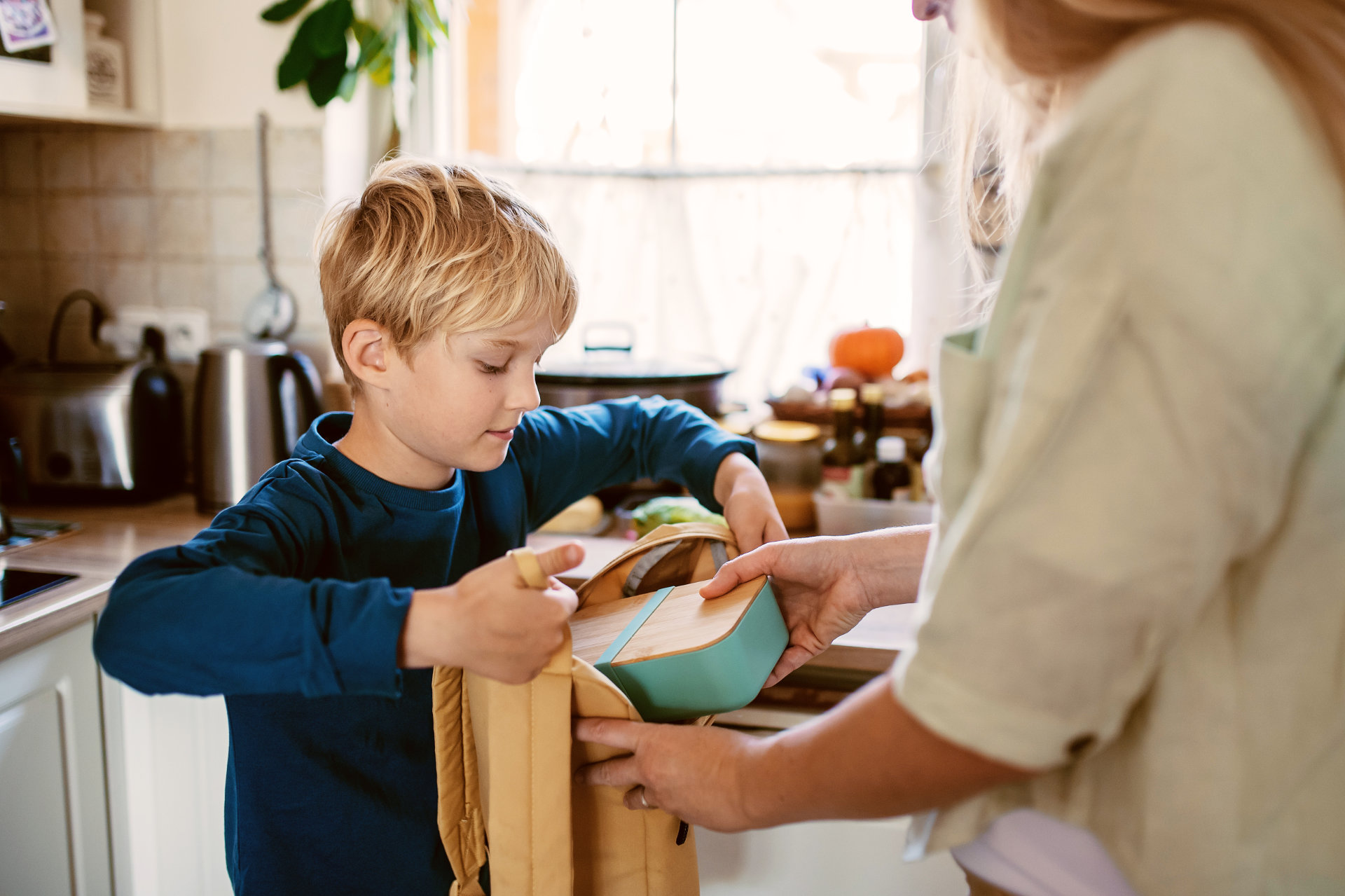 Úvodní fotografie článku