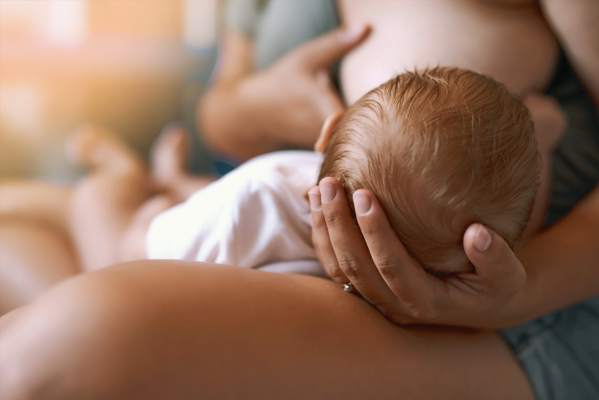 Úvodní fotografie článku