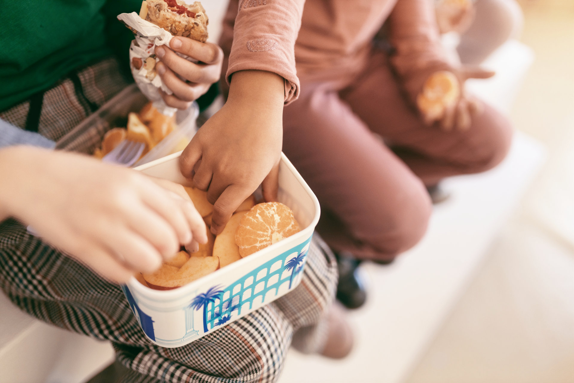 Úvodní fotografie článku