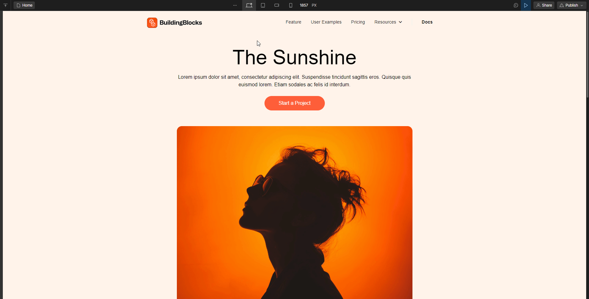 Website landing page titled The Sunshine with a silhouette of a woman wearing sunglasses against an orange background.