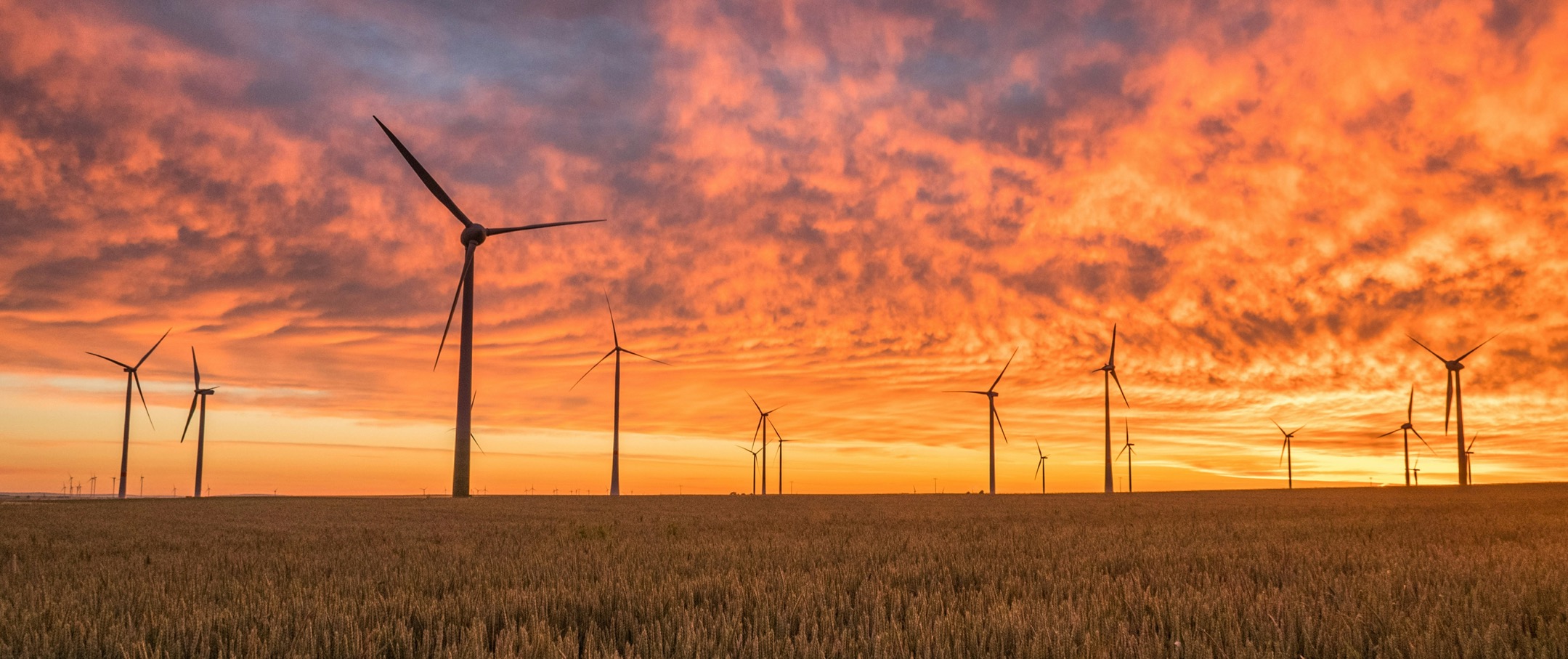 The rise and fall of ESG and building back belief