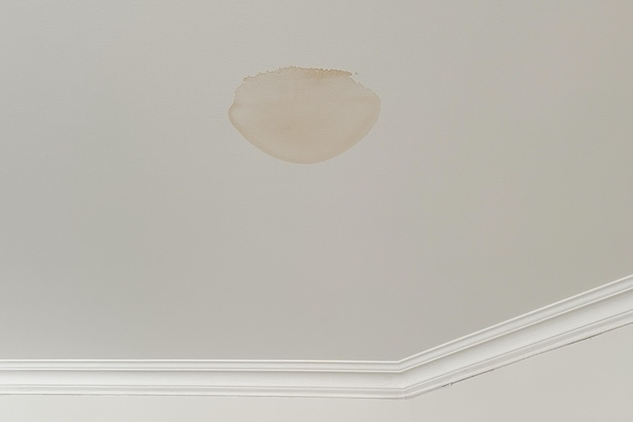 Ceiling with a large, round brown water stain near crown molding.
