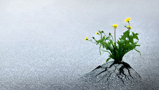 Why Nothing Helped – Until Brain‑Based Regulation Did