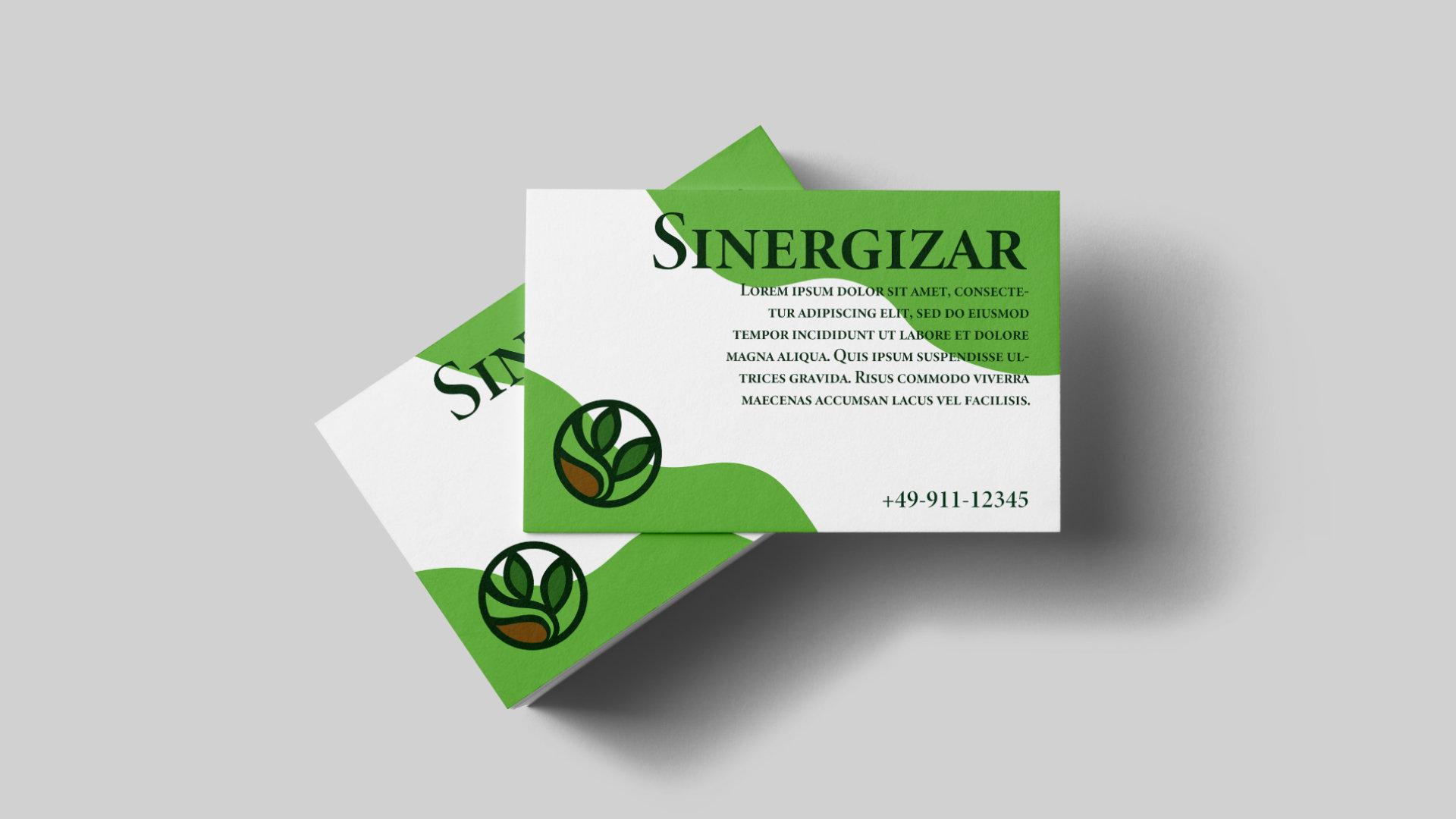 Sinergizar Logo design on business card