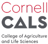 Cornell Cals