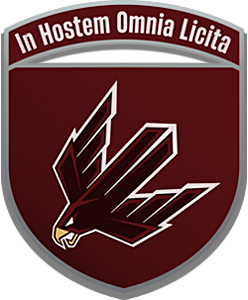 Unmanned systens battalion Boryviter