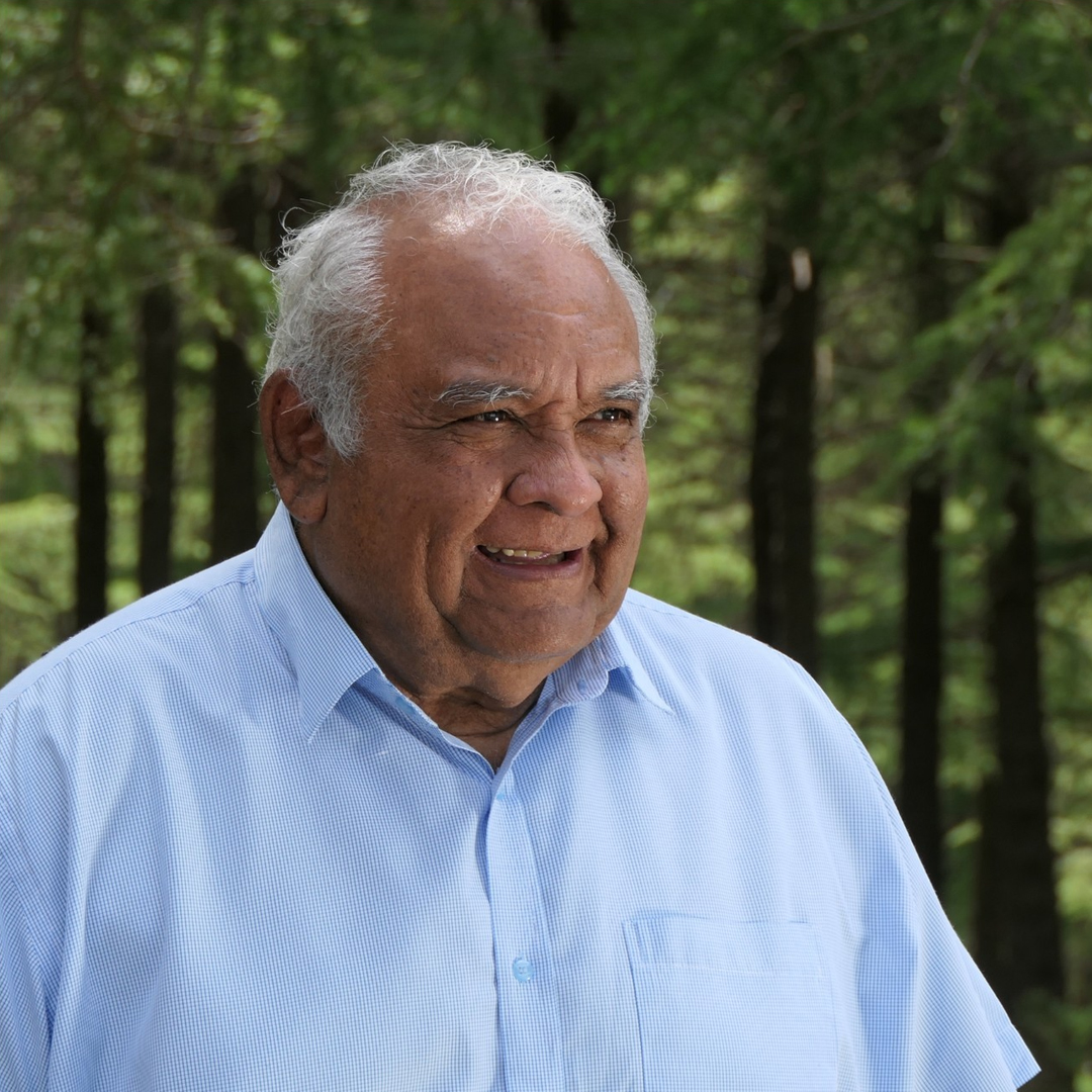 Elderly man with white hair wearing a light blue shirt smiling outdoors with green trees in the background.