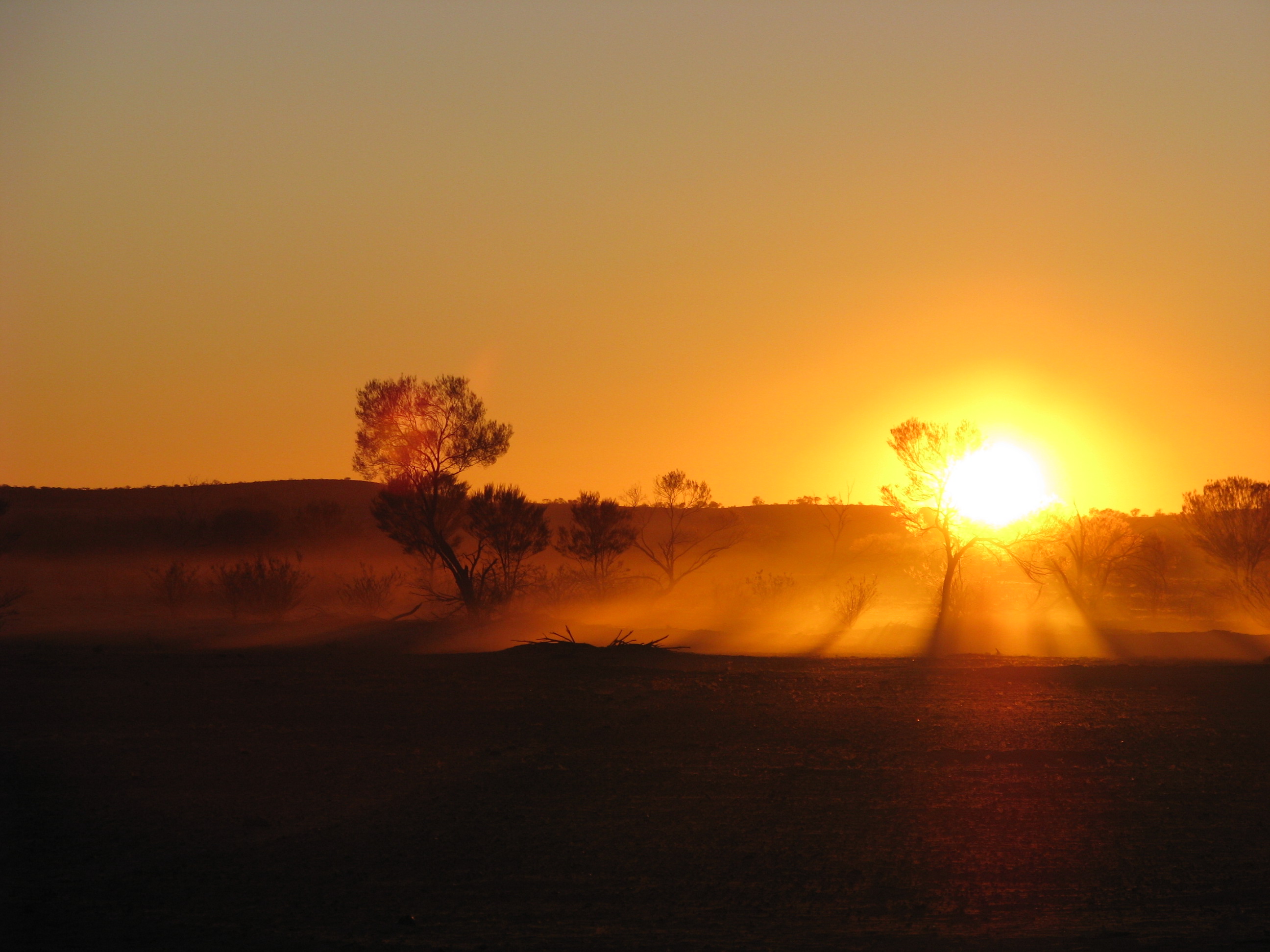 Sun setting behind silhouetted trees casting long shadows over a dry, dusty landscape.