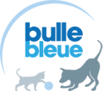 parrainage-bulle-bleue