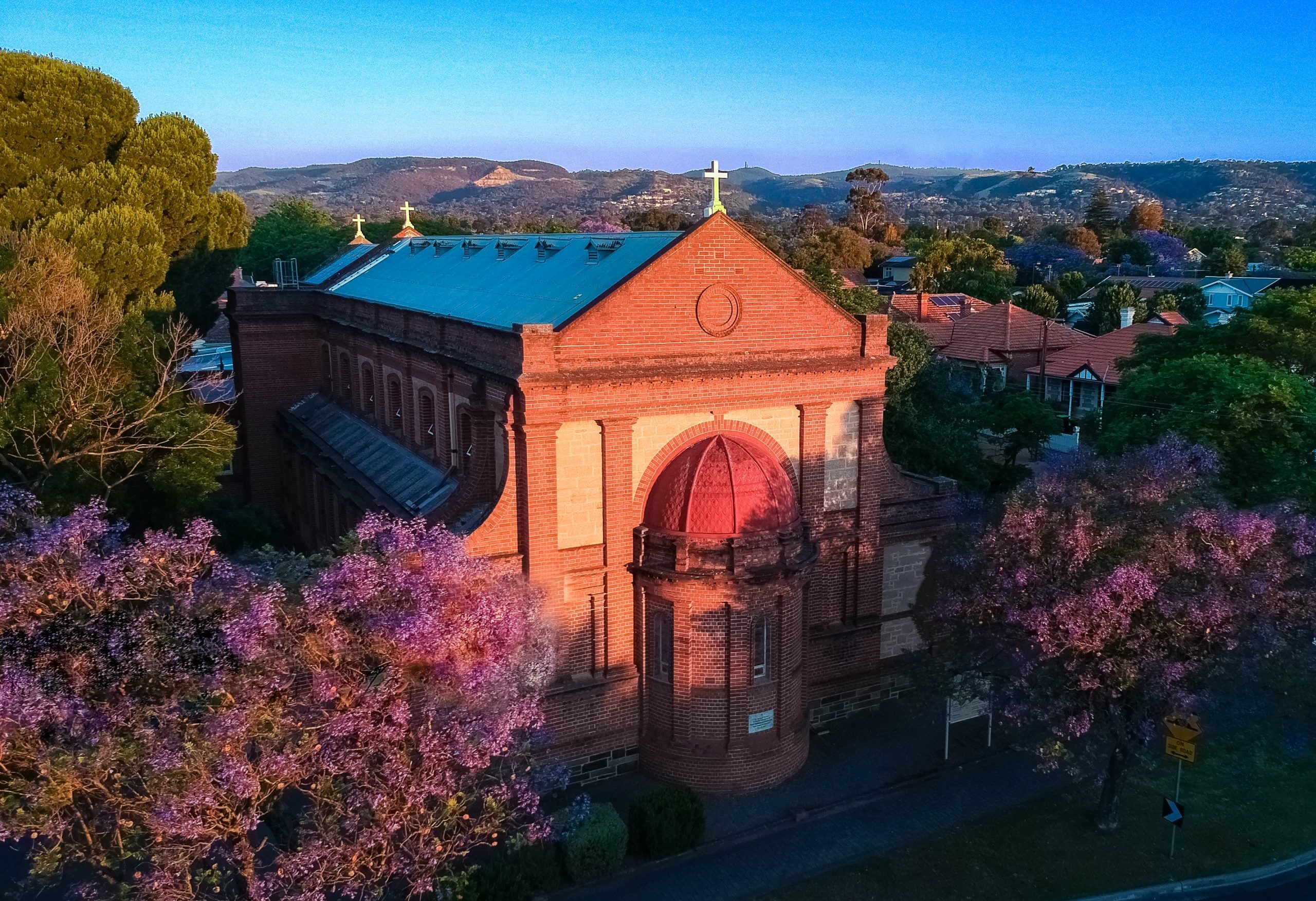 image of a school campus [background image]