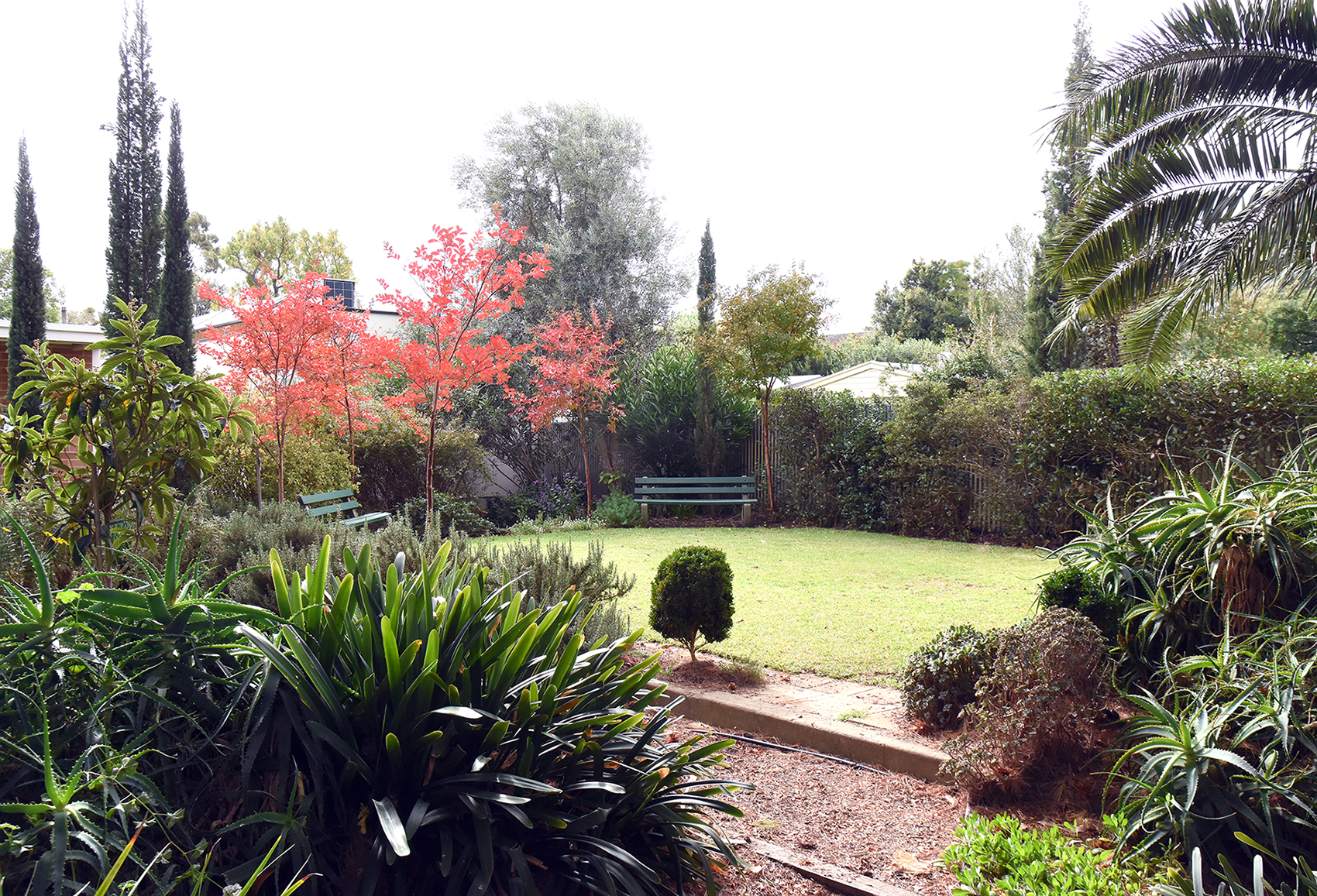 image of a school campus [background image]